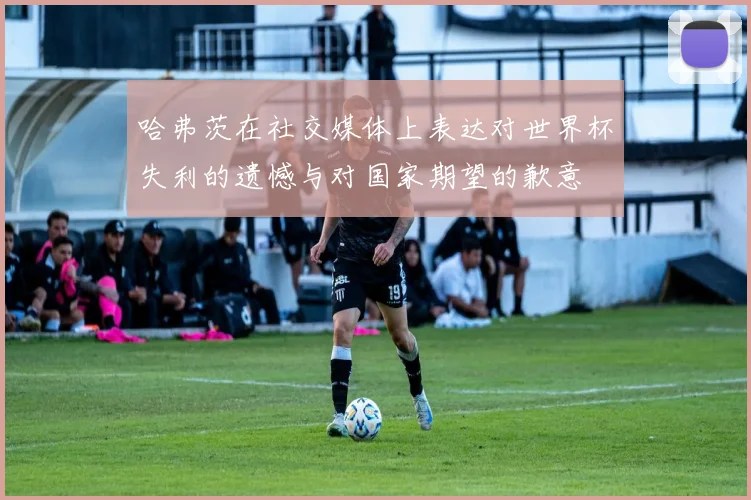 哈弗茨在社交媒体上表达对世界杯失利的遗憾与对国家期望的歉意